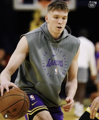 Sudadera con Capucha Nike NBA Los Angeles Lakers Jugador Emitida Gris Sin Mangas Talla XLT Foto 1 de 4