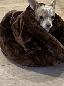 Luxury Snuggle Sack Pet CHIHUAHUA CAT PUPPY Bed BROWN DESIGNERPETS - Picture 1 of 8