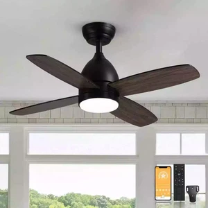 ANTOINE 36 in. LED Indoor Ceiling Fan Black with Remote & Walnut Blades NEW - Picture 1 of 13