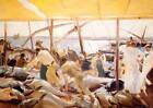 Sorolla, 40x50IN Rolled Canvas Home Decor Wall Print
