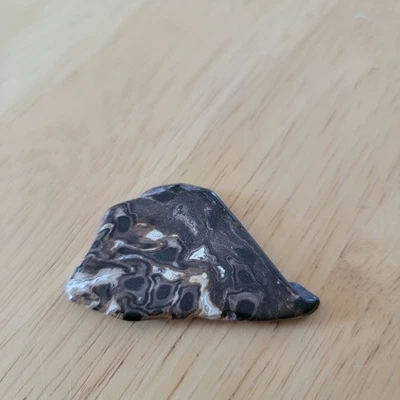 Fossilized Stone 2" Slice Polished Rock Specimen Display Decor Brown Black - Image 1 of 4