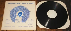 THE GRATEFUL DEAD ~ AIN'T IT CRAZY ~ LIVE AT FILMORE EAST APRIL 1971 USA LP - Imagen 1 de 8