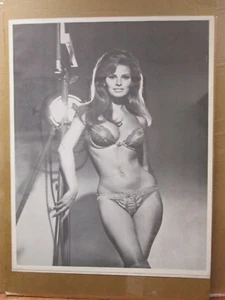 Vintage Poster Rachel Welch Hot Girl  black and white  1970's Inv#G3869 - Picture 1 of 5