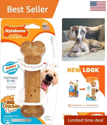 Nylabone Puppy Chew Teething Bone - Chicken Flavor for Medium Dogs Up to 35 lbs - Image 1 of 4