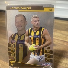 James Worpel -Silver -AFL Team Coach 2022 Hawthorn Hawks