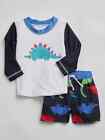 NWT Baby Gap Boys Swimsuit Swim Set Rash guard shirt Dino dinosaur   0-6m 6