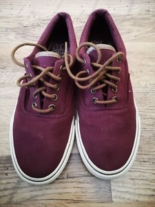 mens canvas shoes next