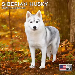 Calendario Siberian Husky 2025 - Calendario da parete razza cane - Made in USA! - Foto 1 di 8