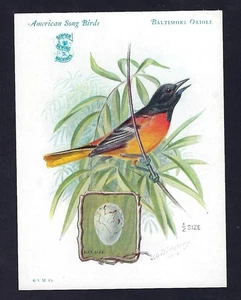 c1927 Victorian Trade Card, macchina da cucire Singer, American Song Birds, Robin - Foto 1 di 2