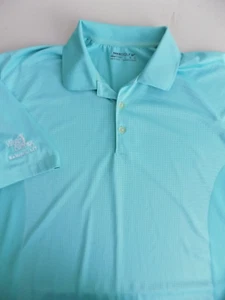 Nike Golf Polo Shirt Size LARGE Bright TEAL Short Sleeve Sports VILLAGE Greens - Picture 1 of 5