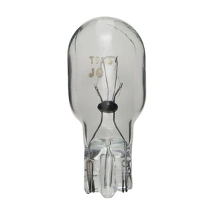 Courtesy Light Bulb Wagner Lighting BP906LL - Picture 1 of 1