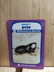 RSPCA Pets ๐ #74 RHINOCEROS BEETLE Trading Card ๐FREE POST - Picture 1 of 1