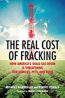 The Real Cost of Fracking : How America's Shale Gas Boom Is Threa