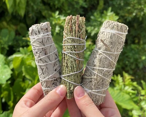 Smudge Set 3 Stick SAMPLER: White Sage, Blue Sage & Cedar (House Cleansing) - Picture 1 of 6