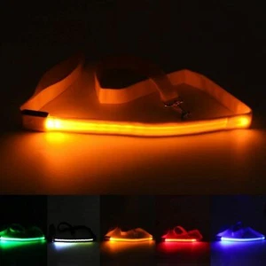 Guinzaglio LED Lampeggiante per Cani Illumina Luminoso Notte Animali Domestici Sicurezza Passeggio Nylon US - Foto 1 di 16