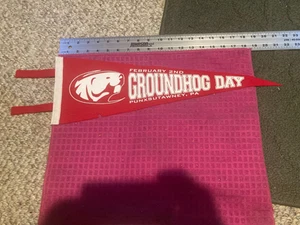 Raro GAGLIARDETTO VINTAGE Punxsutawney Phil Groundhog Day Pennsylvania PA 2 FEBBRAIO - Foto 1 di 5