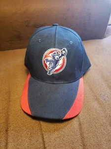 South Bend Cubs South Bend International verstellbare Mütze Kappe Herren Damen MiLB blau - Bild 1 von 17