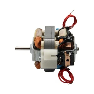 Gammapiù motor 230V secador de pelo Cosmo Luxor Elmot X3 X4 2001R Tormalion - Imagen 1 de 11