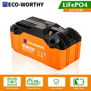 256 Wh 12V 20Ah LiFePO4 Premium Lithium Battery 3000+ Deep Cycle BMS for RV Camp