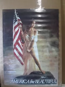 Suzanna Zbare vintage America La Bella Libertà poster bandiera 1980 21649 - Foto 1 di 5