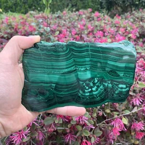 Losa de malaquita verde 632g 17x10x1cm del Congo - Imagen 1 de 3