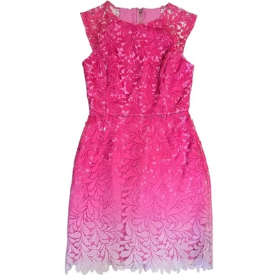 Vestido Adelyn Rae Rosa Encaje Ombre Talla Pequeña Vaina Cóctel Vestido Mangas Gorra Foto 1 de 4