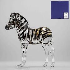Swarovski Figurine SCS 2021 Zebra Baby Zuri 5557906