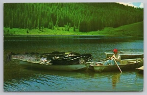 Bringing in Rainbow Trout Exaggeration Fishing Postcard - Picture 1 of 2