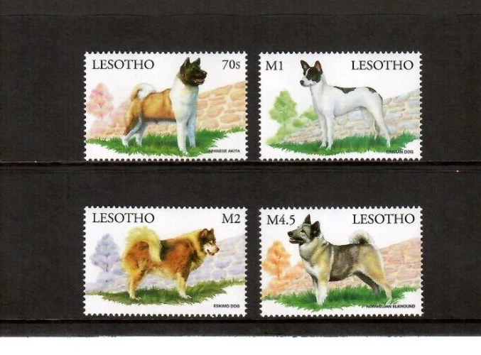 Lesoto 1999 - Perros mascotas - Juego de 4 estampillas - Scott #1169-72 - MNH Foto 1 de 1