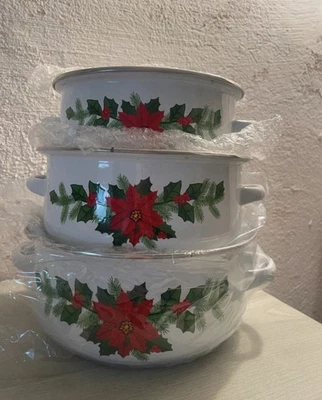 Topfset Neu Emaille Weihnachtsstern - Bild 1 von 3