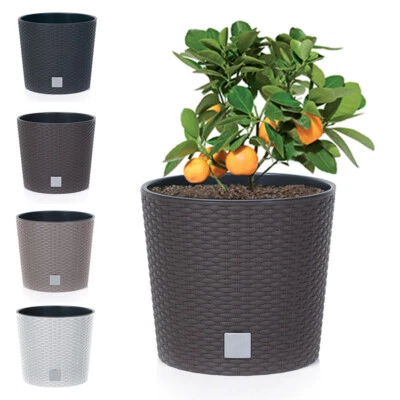 PROSPERPLAST Blumentopf Blumenkübel Rattanoptik Übertopf Pflanzkübel Round 4 Farben 4 Größe