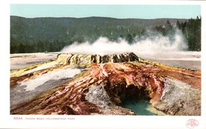 Punch Bowl Yellowstone Park Detroit Photographic Undivided Postcard - Picture 1 of 2
