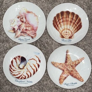 Captiva 4er Set Salatteller Muschel Löwentatze Nautilus Seestern Strandhaus - Bild 1 von 8