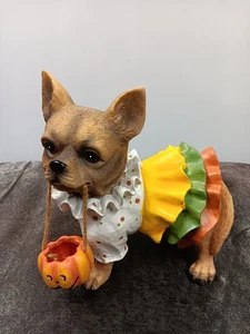 Cracker Barrel Too Cute To Spook Chihuahua Hund Jack O Laterne Halloween  - Bild 1 von 9