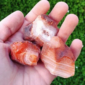 Cornaline Brute Lot de 3 Pierres - Madagascar - Afbeelding 1 van 3