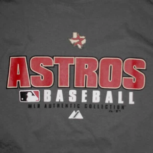 Houston Astros T-Shirt Small Majestic Major League Baseball MLB Grey - Picture 1 of 3
