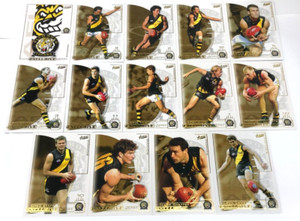 2002 SELECT AFL EXCLUSIVE "SPX" TRADING CARD FULL BASE TEAM SET-RICHMOND(14)