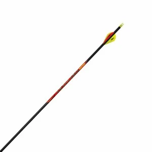 Black Eagle Outlaw Arrows w/2 inch Vanes 6 Pack - Picture 1 of 1