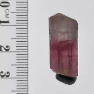 Rubellite Tourmaline bicolor terminated crystal natural rough gemstone 25.6ct - Picture 1 of 8