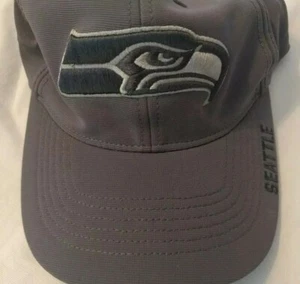 Seattle Seahawks NFL Gray One Size Stretch Perfect Fit Hat Cap by ‘47 Brand - Picture 1 of 3