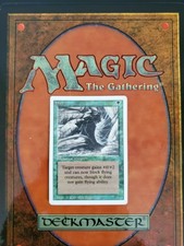 Magic: The Gathering (MTG) - Revised - NM - Web