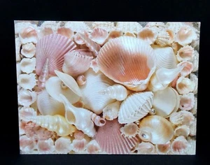 Seashell Thank You Greeting Card Sea Shell Leanin Tree New - Picture 1 of 4