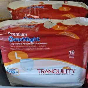 Ropa interior absorbente desechable premium para pasar la noche (talla: grande) - Imagen 1 de 1