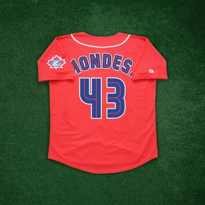 Raul Mondesi 2001 Toronto Blue Jays 25th Anniversary Home/Road/Alt Men's Jersey - Image 1 of 2