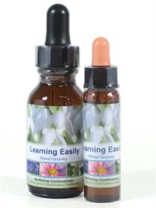 Learning - Vibrational Essence Combination - Picture 1 of 1