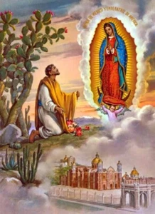 Nostra Signora di Guadalupe con San Diego #GSD6 - 8"" x 10"" STAMPA SATINATA ULTRA PREMIUM - Foto 1 di 1