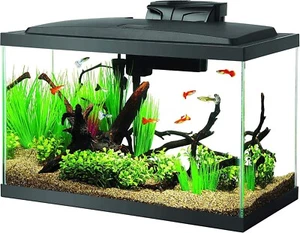 Kit De Inicio Para Acuario De 10 Galones Pecera Clasica Con Iluminacion LED NEW - Picture 1 of 8