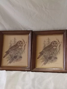 2 Vtg Owl Prints Framed Litho USA Stapco NY Sign Jo Brien 10x12 inch - Picture 1 of 7