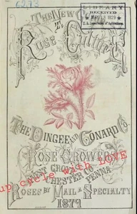 CALCOMANÍA DE MUEBLES TRANSFERENCIA IMAGEN VINTAGE ROSA ROSA ANUNCIO TIPOGRAFÍA SELLO ELEGIR HÁGALO USTED MISMO - Imagen 1 de 5