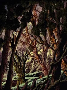 Black Dragon Artist Kilian Eng Forest Maze II Print Bottleneck - Picture 1 of 1